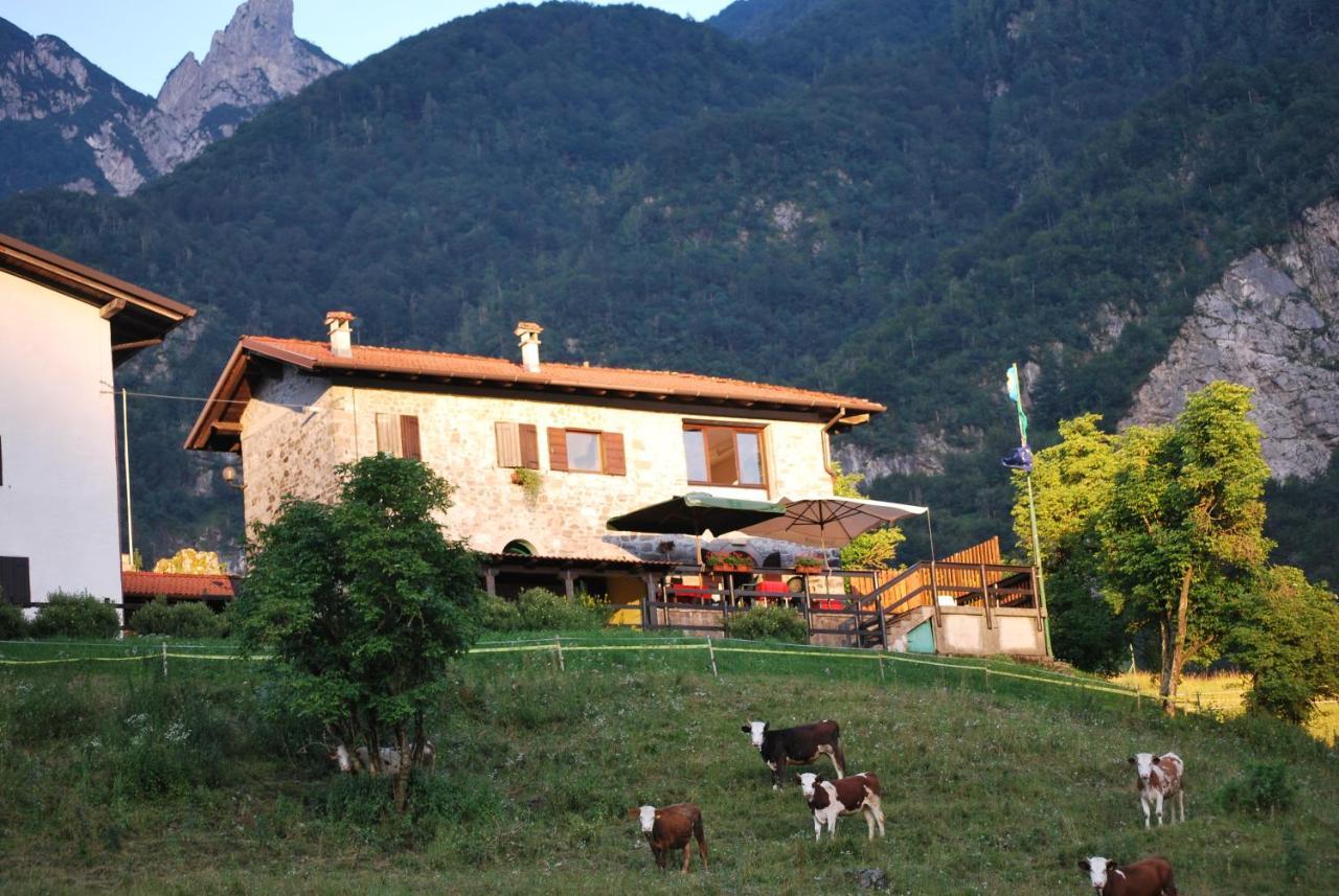 Rifugio Malga Grasia Caprizi Exteriör bild