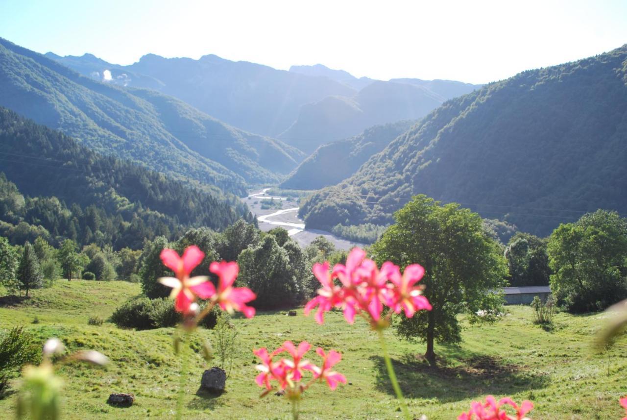 Rifugio Malga Grasia Caprizi Exteriör bild