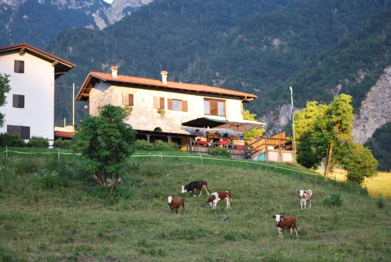 Rifugio Malga Grasia Caprizi Exteriör bild