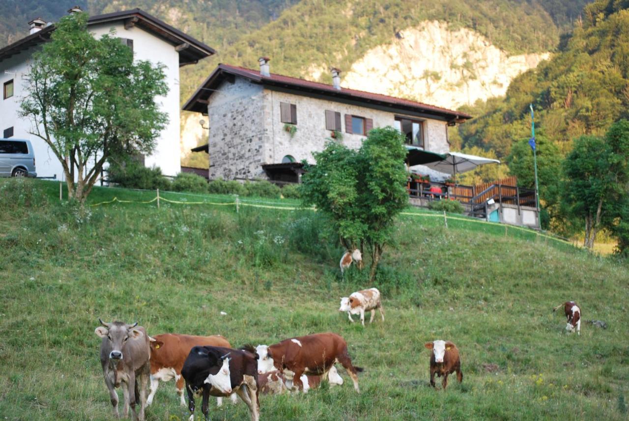 Rifugio Malga Grasia Caprizi Exteriör bild