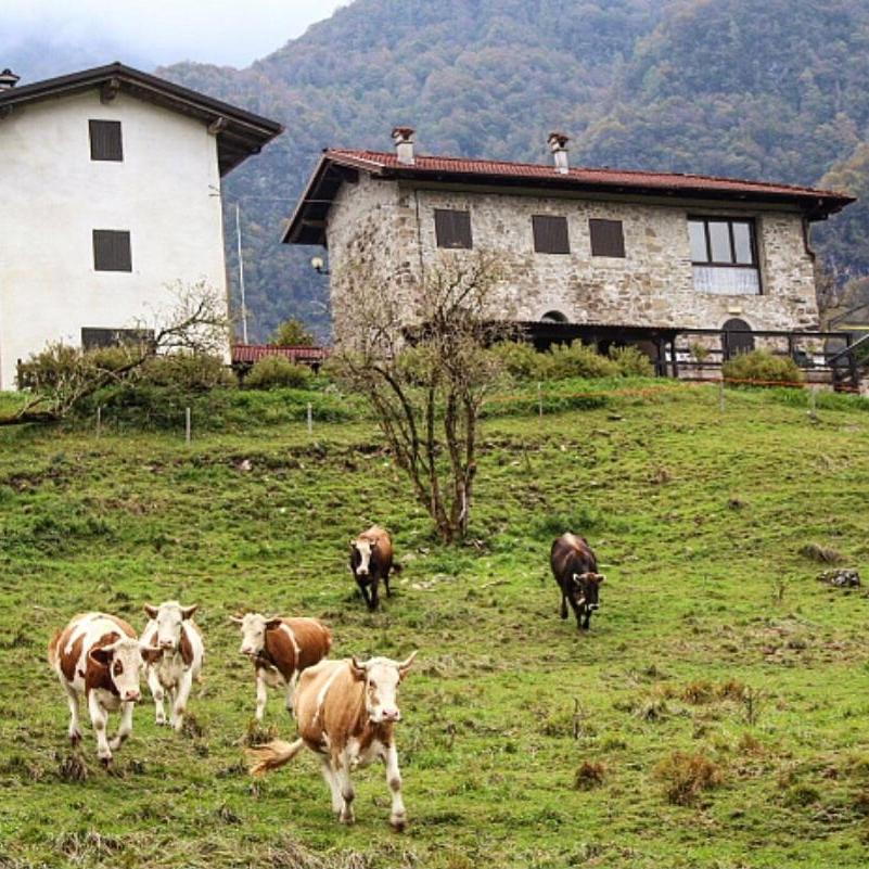 Rifugio Malga Grasia Caprizi Exteriör bild